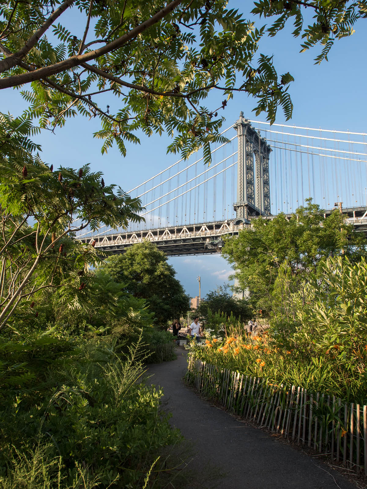 Pathway surrounded by trees and flowers with the Manhattan bridge overhead at sunset.