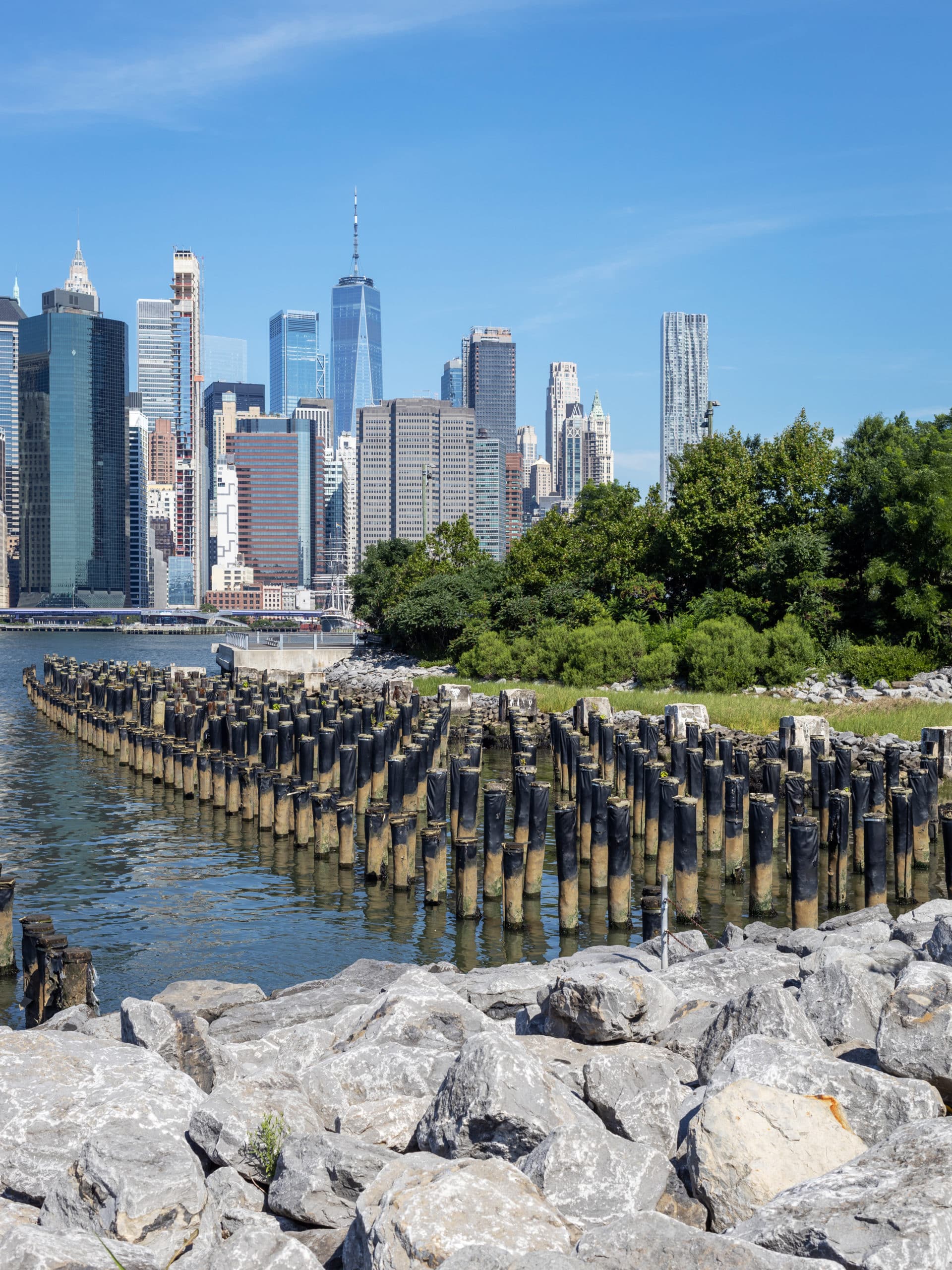 Pile field and salt marsh at Pier 1 on a sunny day with view of Lower Manhattan in distance.