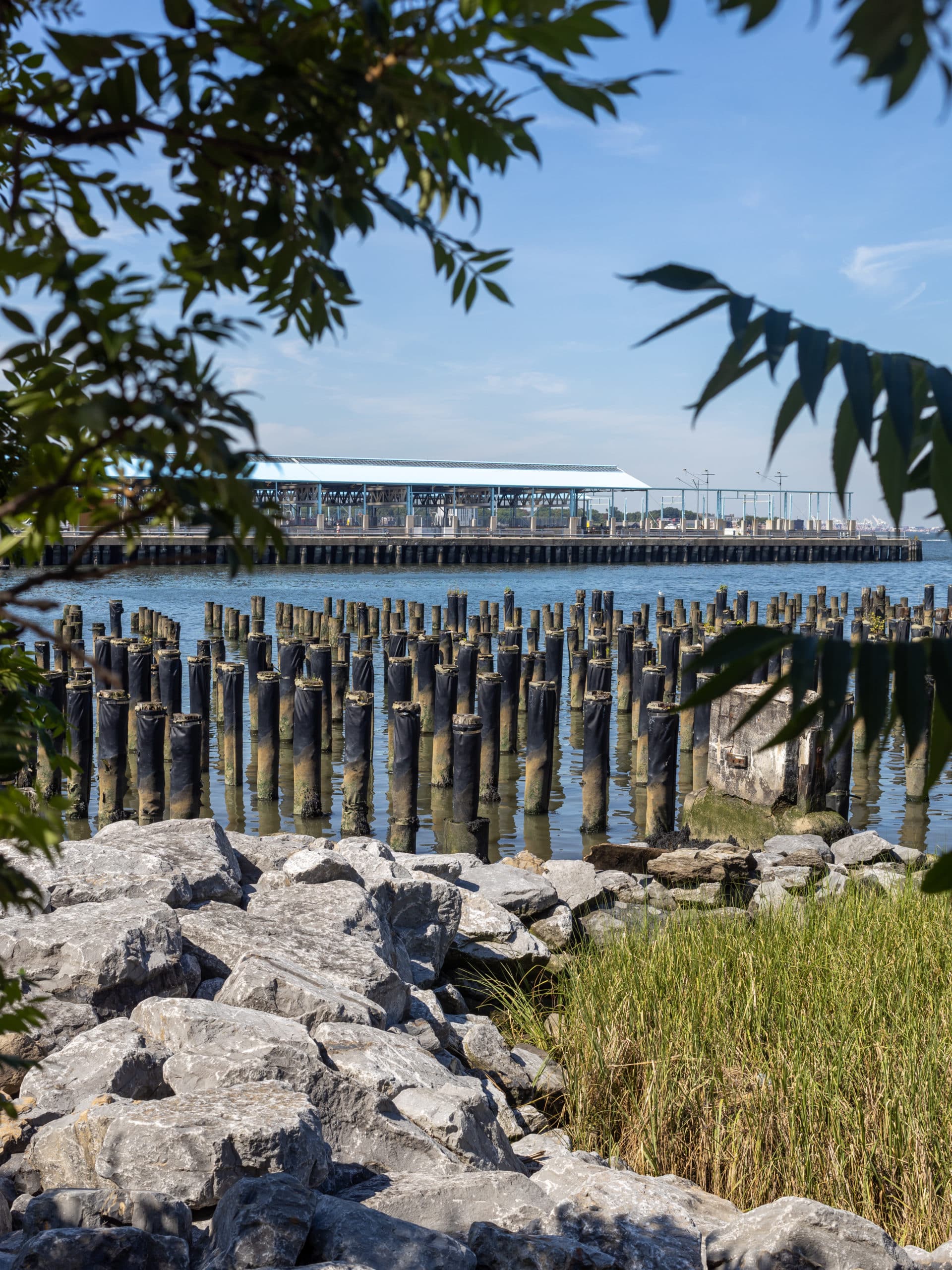 Pier 1 Pile Field and Salt Marsh with a view of Pier 2 in the background on a sunny day.