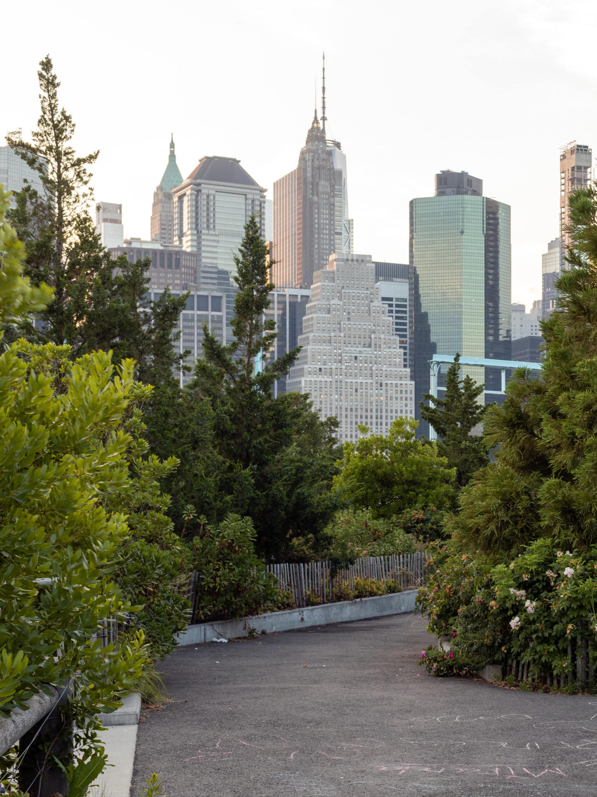 Tree-lined pathway on Pier 3 with lower Manhattan in the background at sunset.