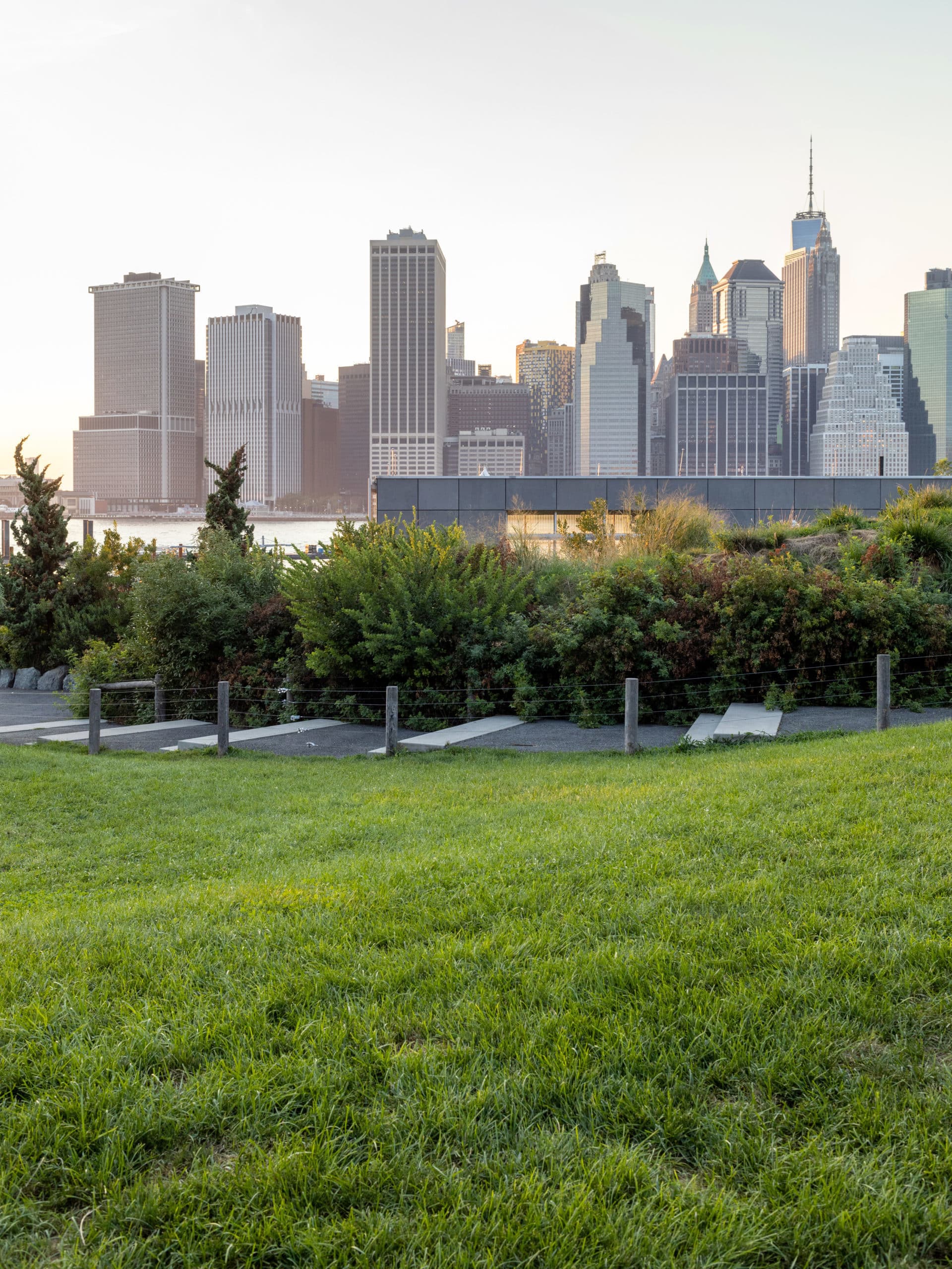 Pier 5 Uplands Lawn and bushes along stairway with view of lower Manhattan at sunset.