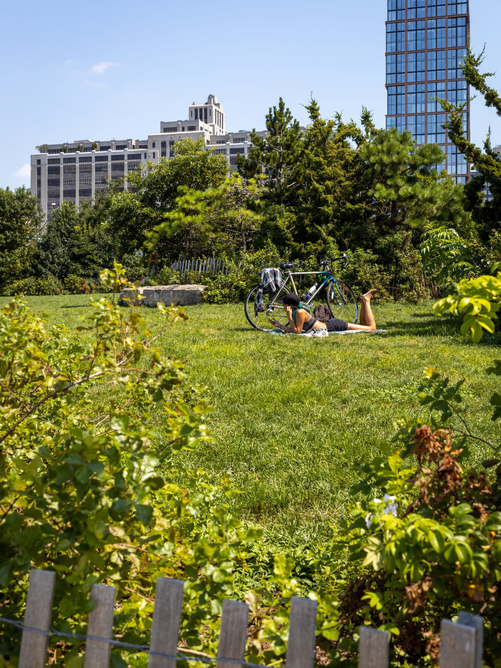 Person lying on grass next to bike, surrounded by trees and bushes on a sunny day.