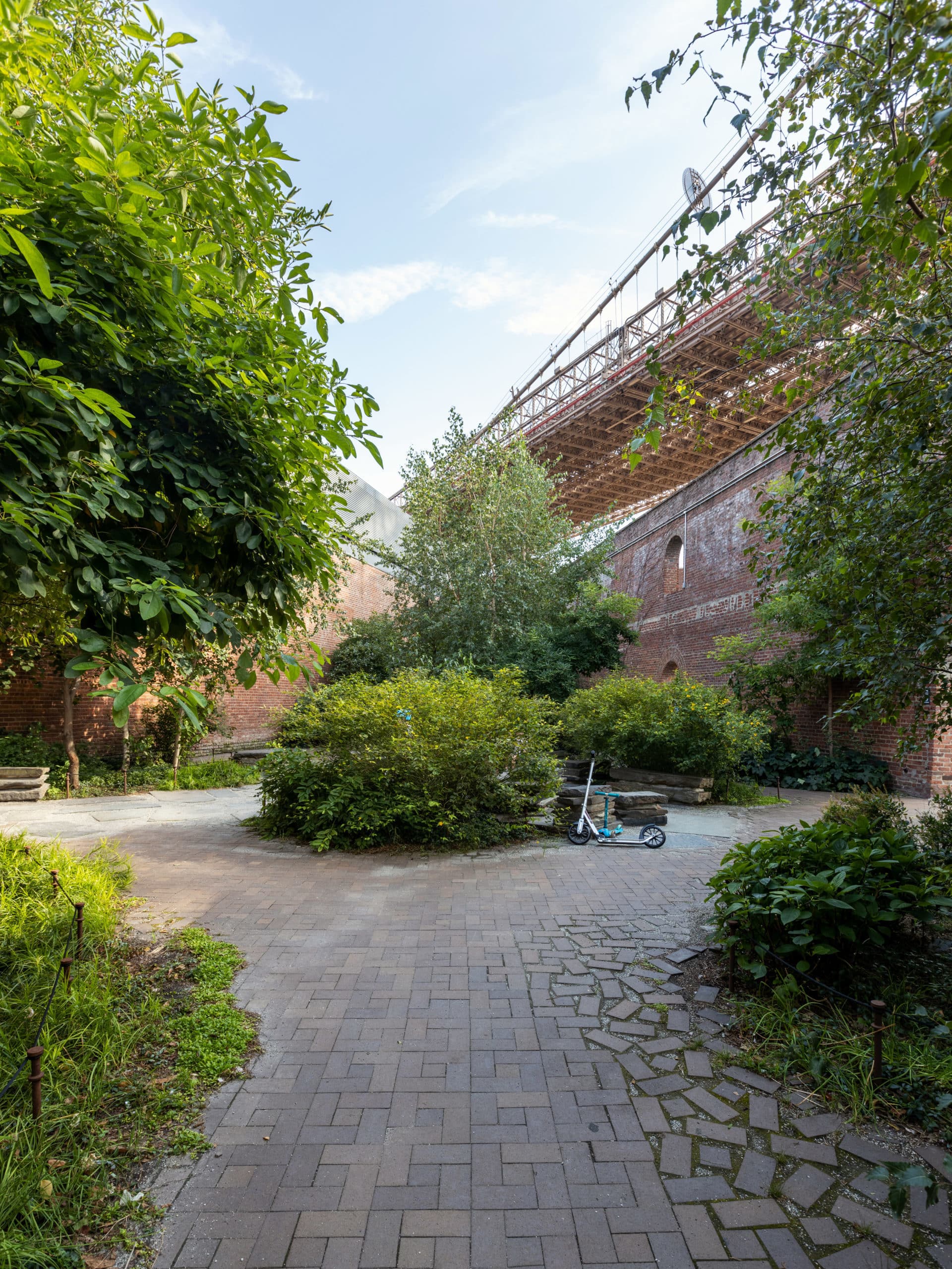 Trees and bushes along the pathways in the Max Family Garden at sunset. The Brooklyn Bridge is seen overhead.