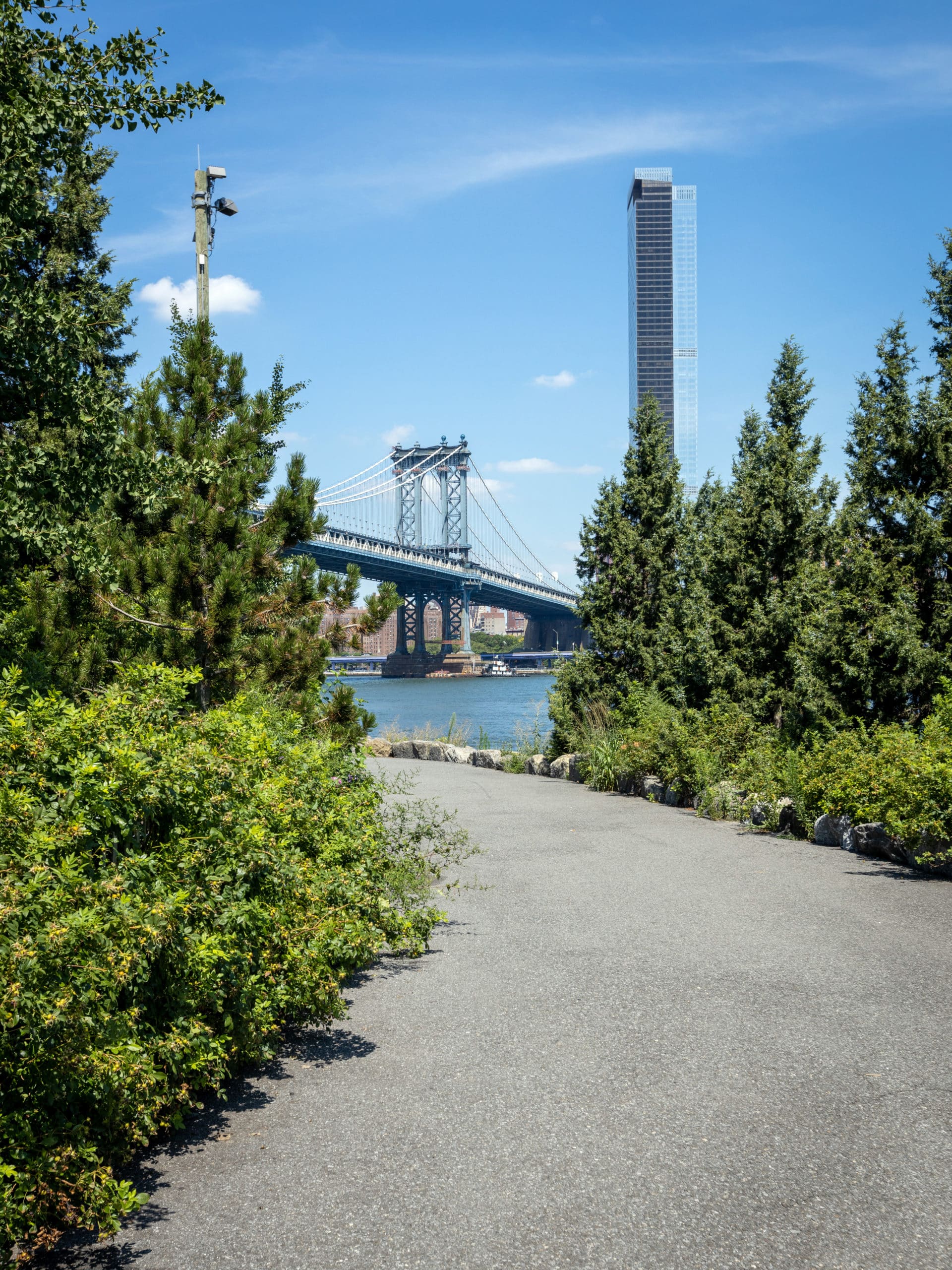 Tree-lined pathway at John Street on a sunny day. The Manhattan Bridge and One Manhattan Square are seen in the distance.