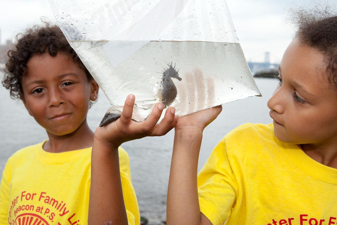 Two young girls holding bag with seawater and seahorse from public seining