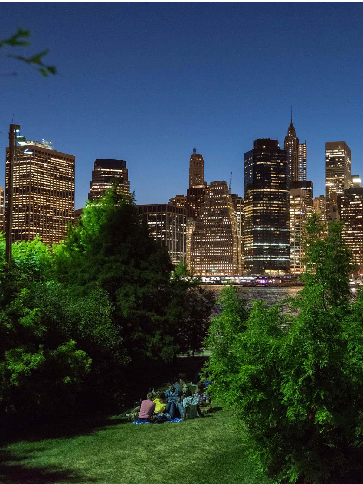 Group sitting on the lawn in between trees at night. View of lower Manhattan in the background.