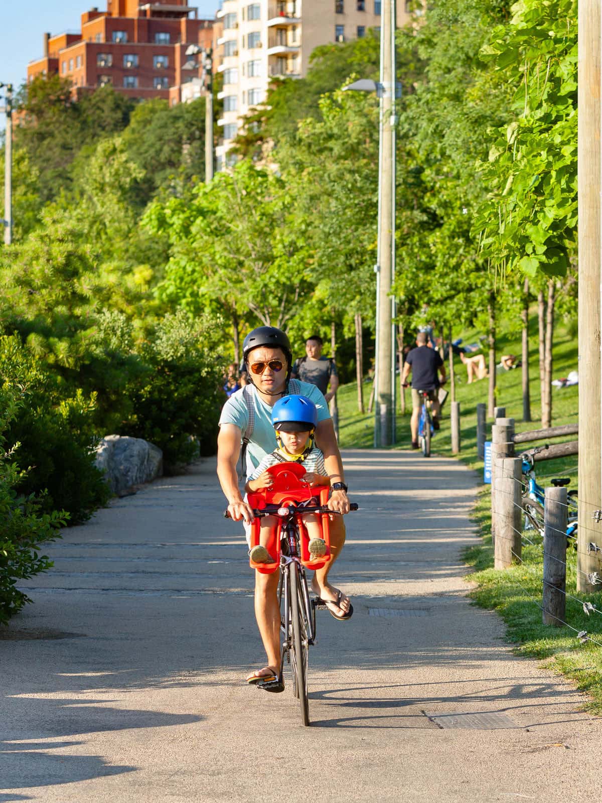 Close up of man biking down a path with a small child in a front mounted bike seat on a sunny day.