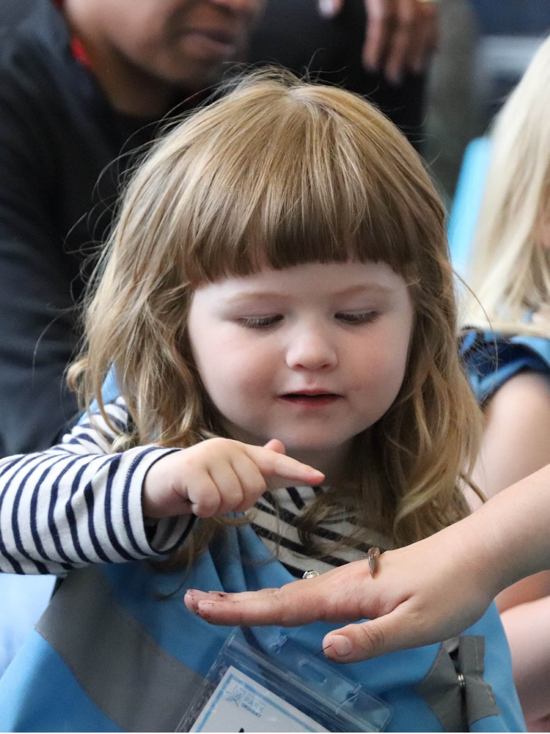 Small child looking at a worm on instructor's hand.
