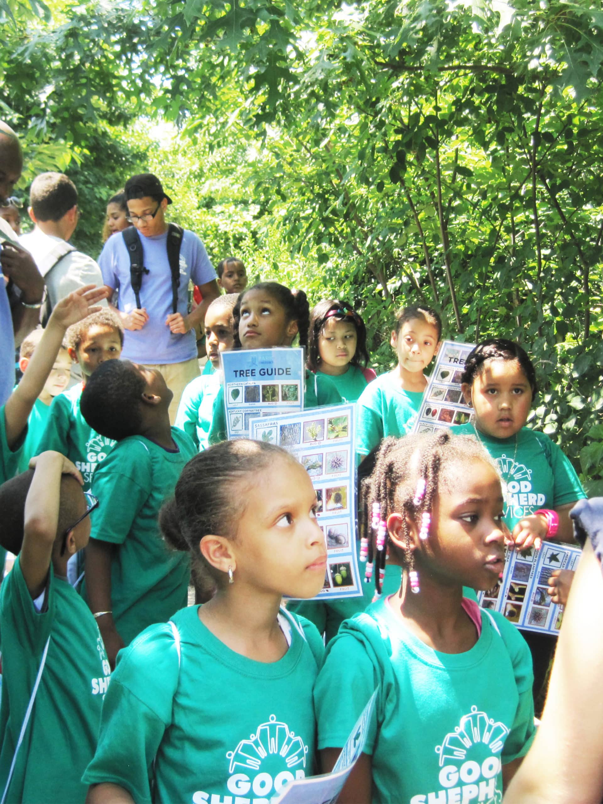 School group on a tree-lined path holding tree guides.