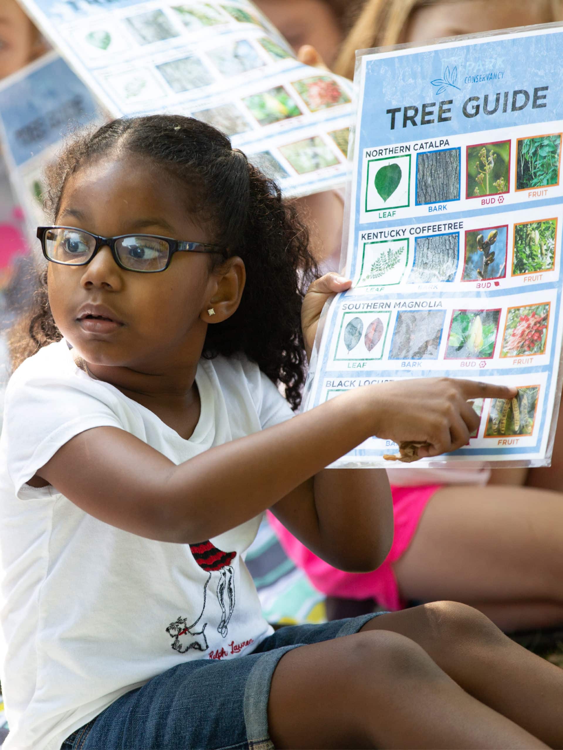 Young girl pointing to picture on a tree guide.