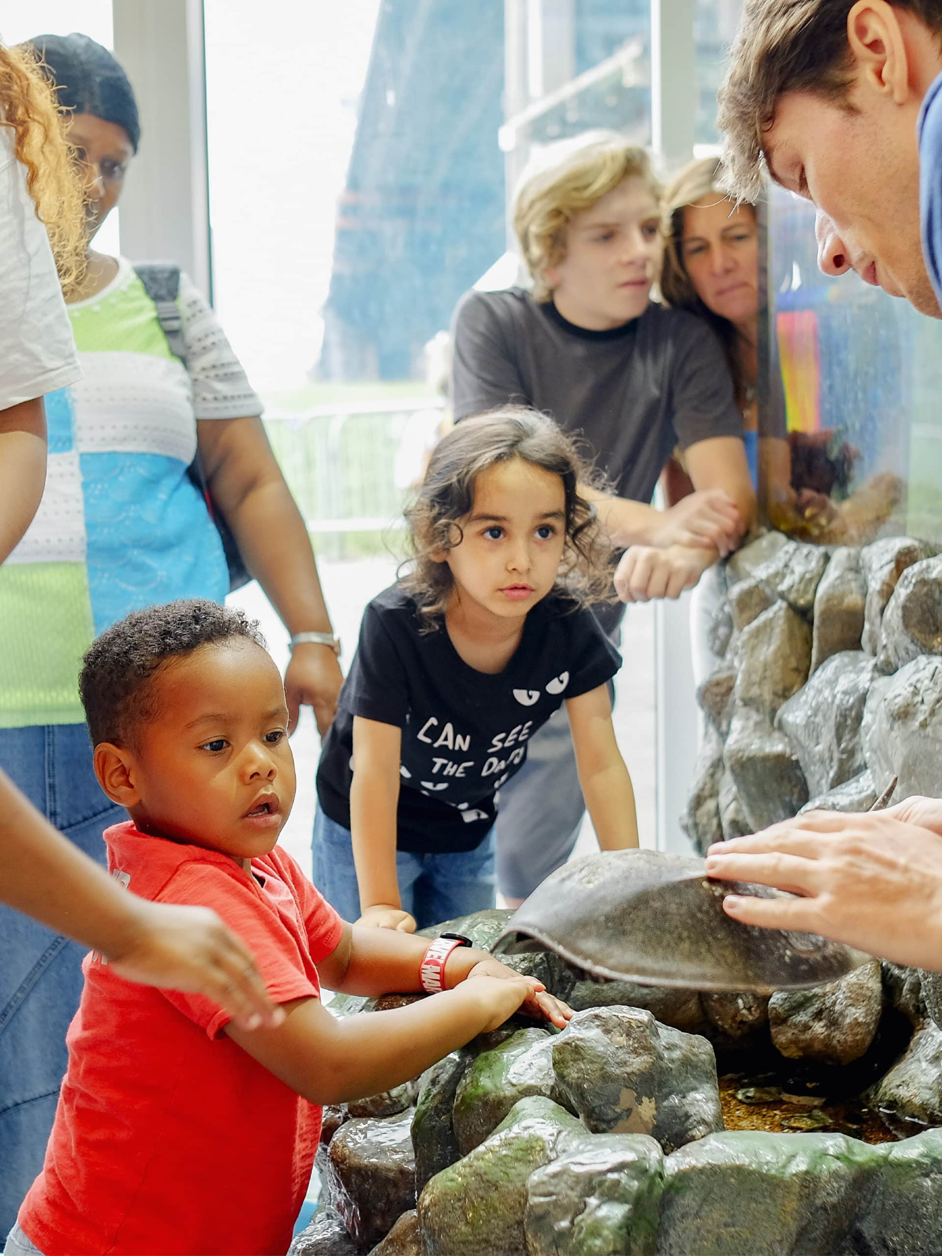 Young children looking at a horseshoe crab with instructor.