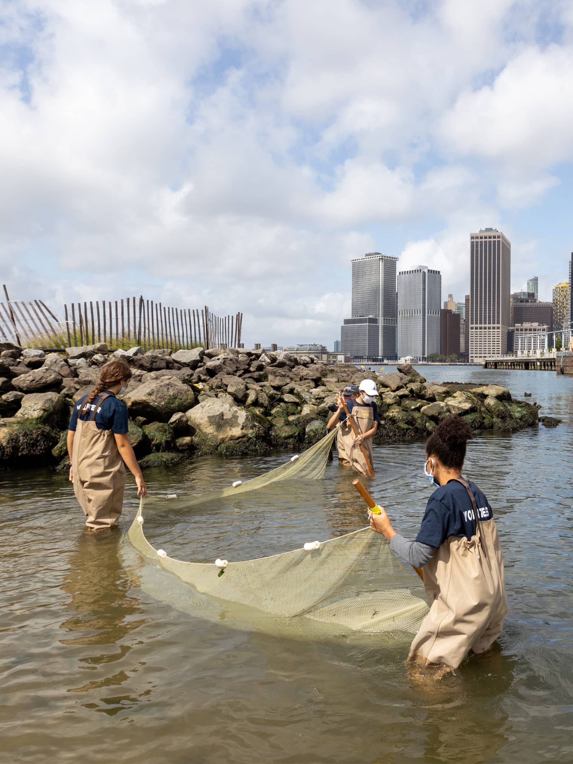 Teens dragging a seine net through the shallow water.