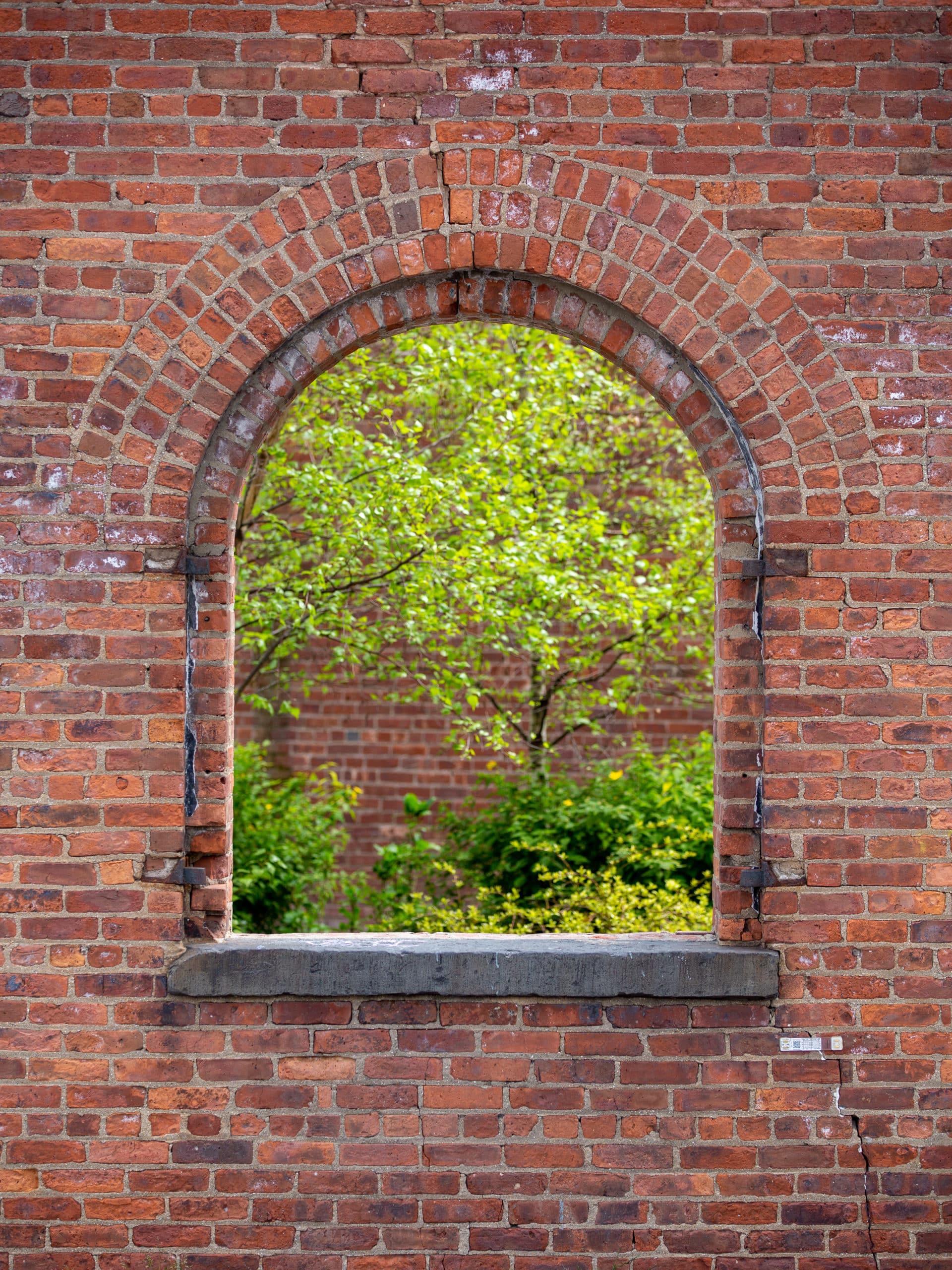 Brick arched window looking in at trees in the Max Family Garden.