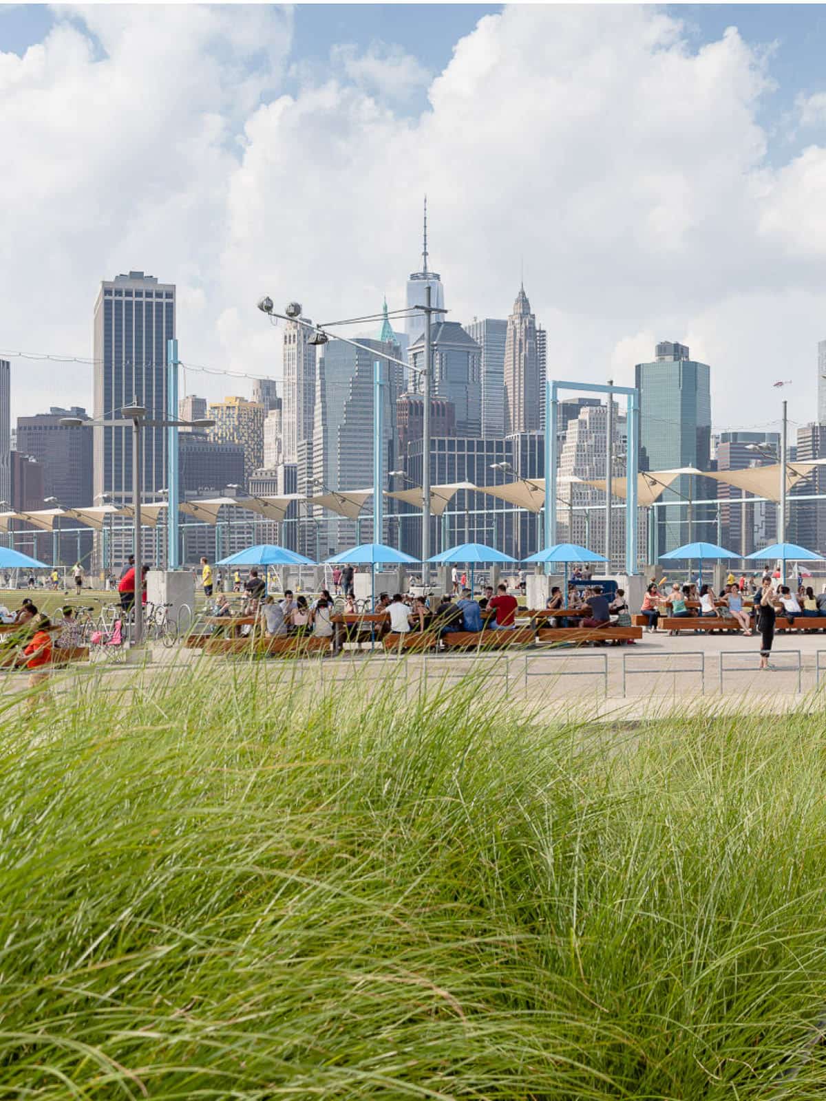 Picnic area seen from behind grasses on a cloudy day. Lower Manhattan is seen in the background.
