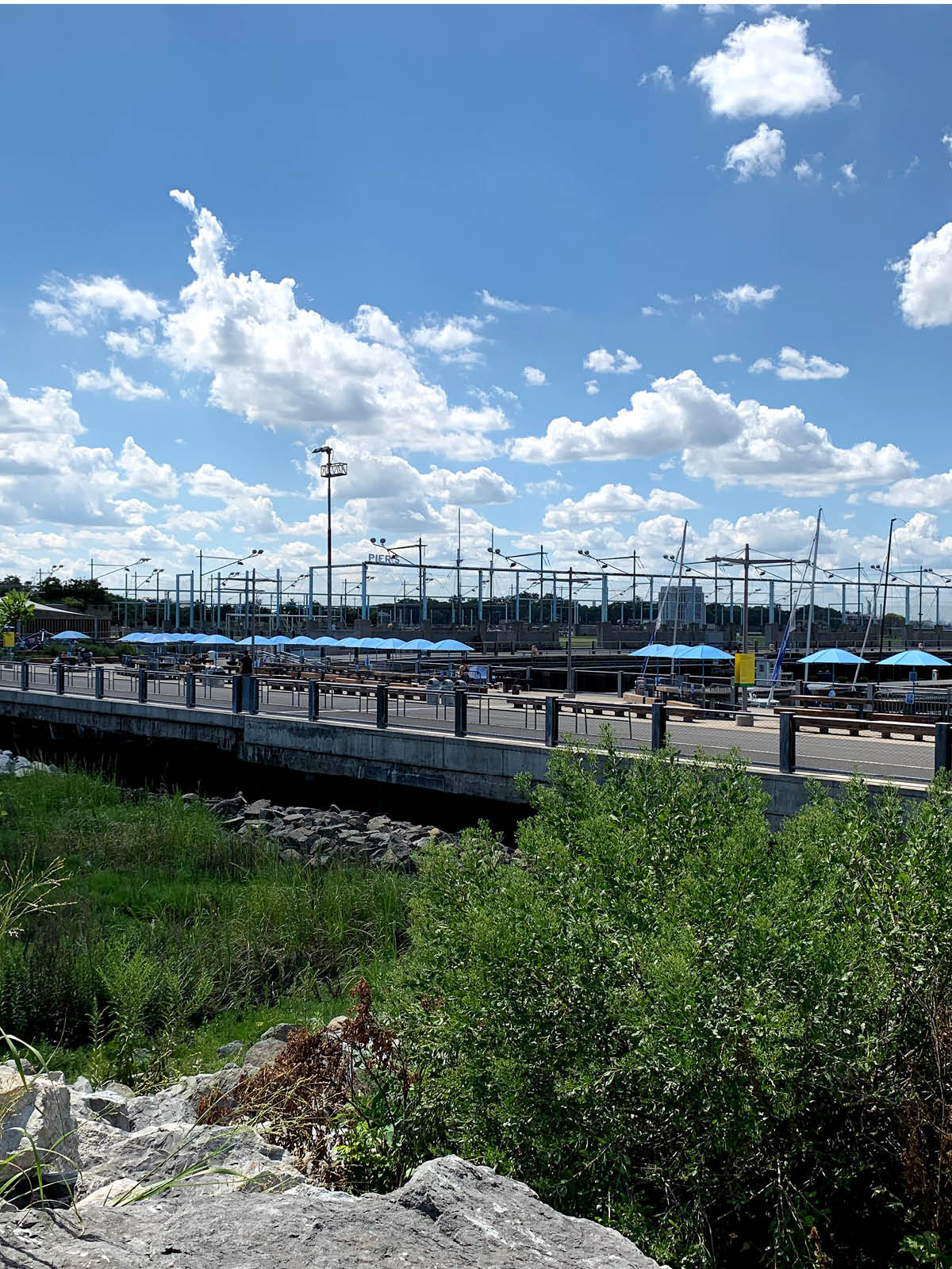 View of picnic area and pathway from the bushes on a sunny day.