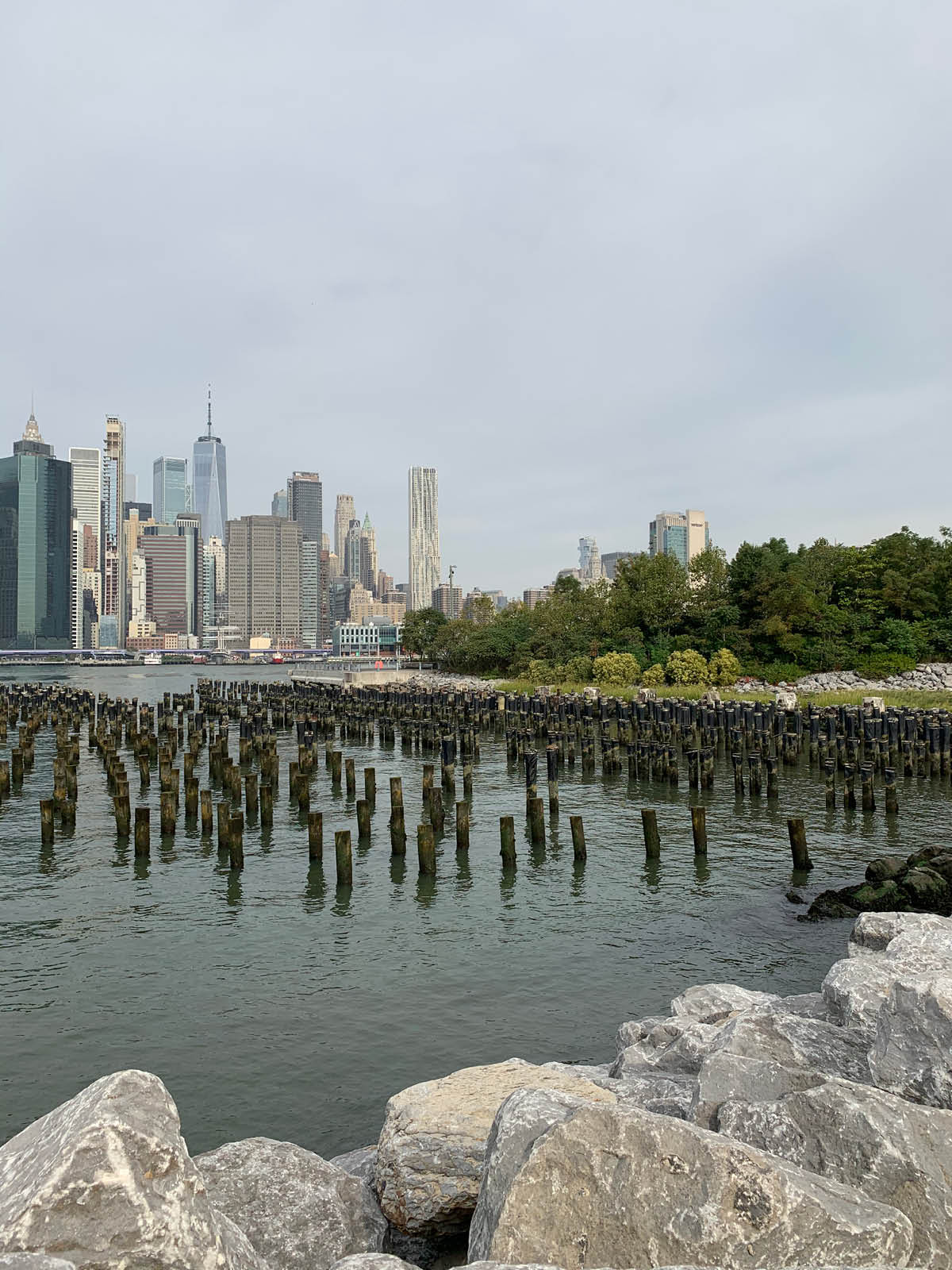 View of Pier 1 Salt Marsh and Pile Filed on a cloudy day. Lower Manhattan is seen in the background.