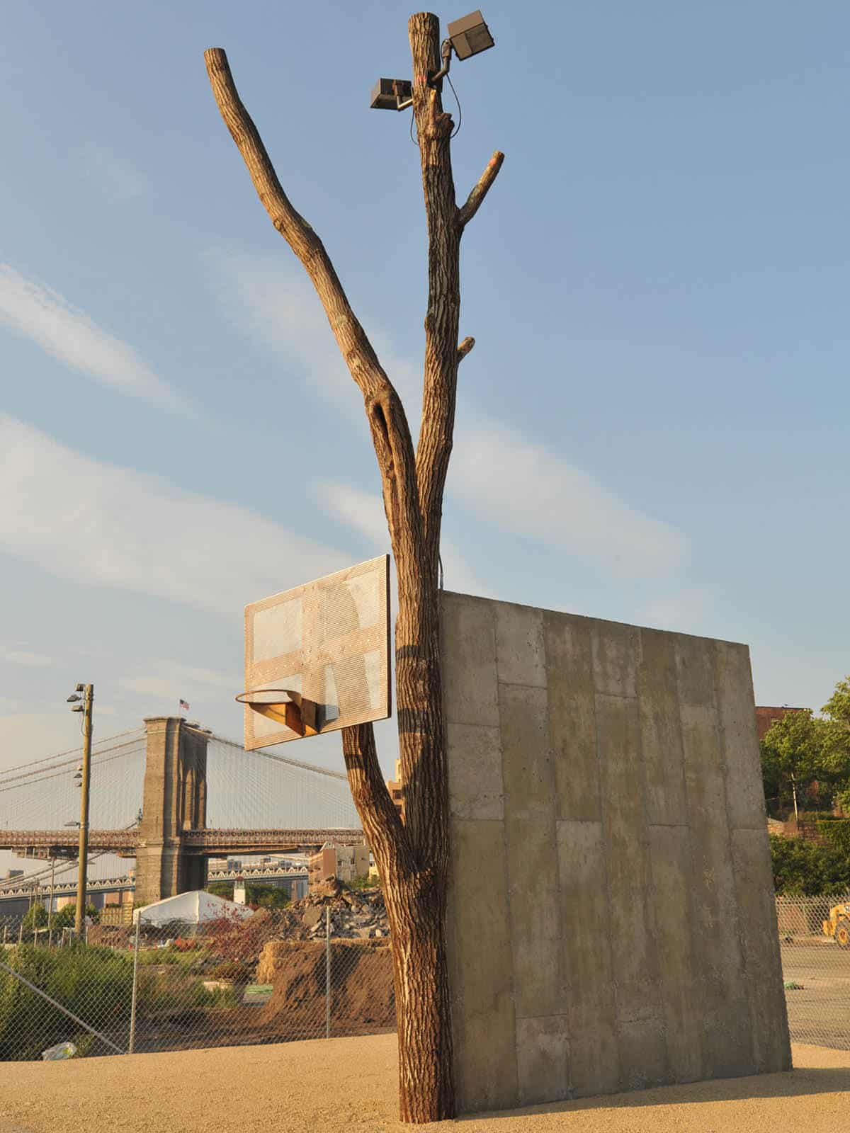 People by Oscar Tuazon, part of his series People. A tree with a basketball hoop attached to a branch and the trunk beside a concrete wall at sunset.