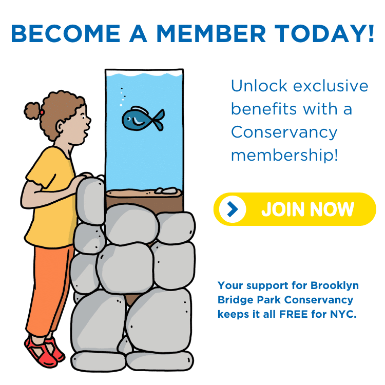 Drawn picture of young child looking into fish tank with text "Become A Member Today!"